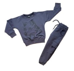 Chlapecká souprava Wolf Gray