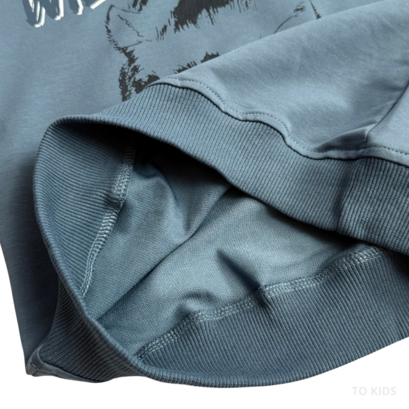 Chlapecká souprava Wild Power Gray